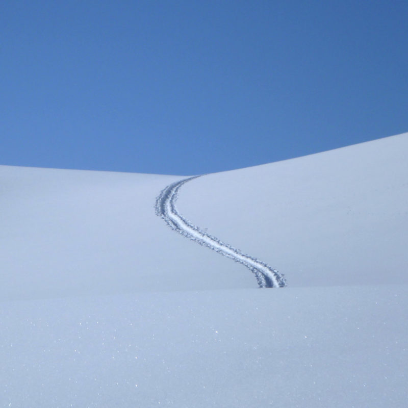 Trace de raquettes dans la neige
