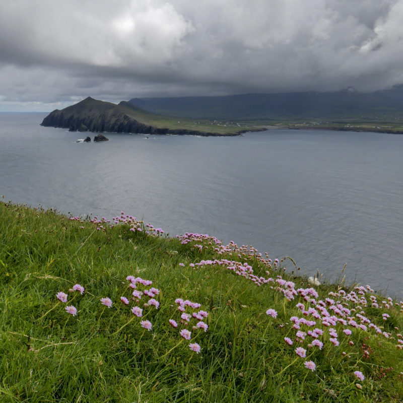 Randonnée dans la péninsule de Dingle