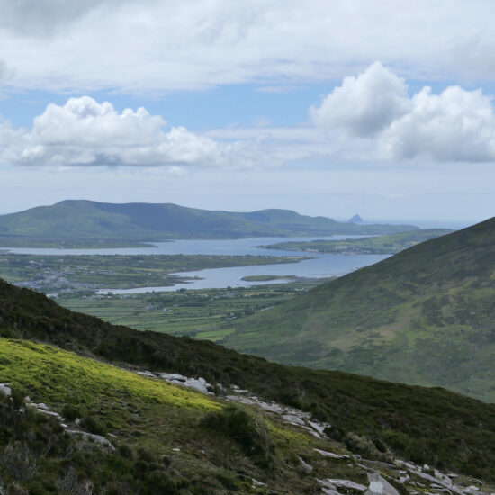 Sur les pentes du Knocknadobar au-dessus de Cahersiveen
