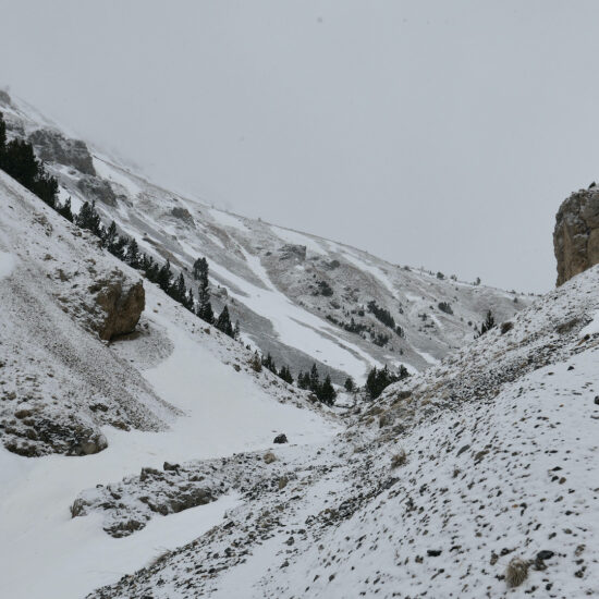En gris et blanc sous le col de l'Izoard