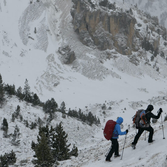 Montée au col de l'Izoard dans le blizzard