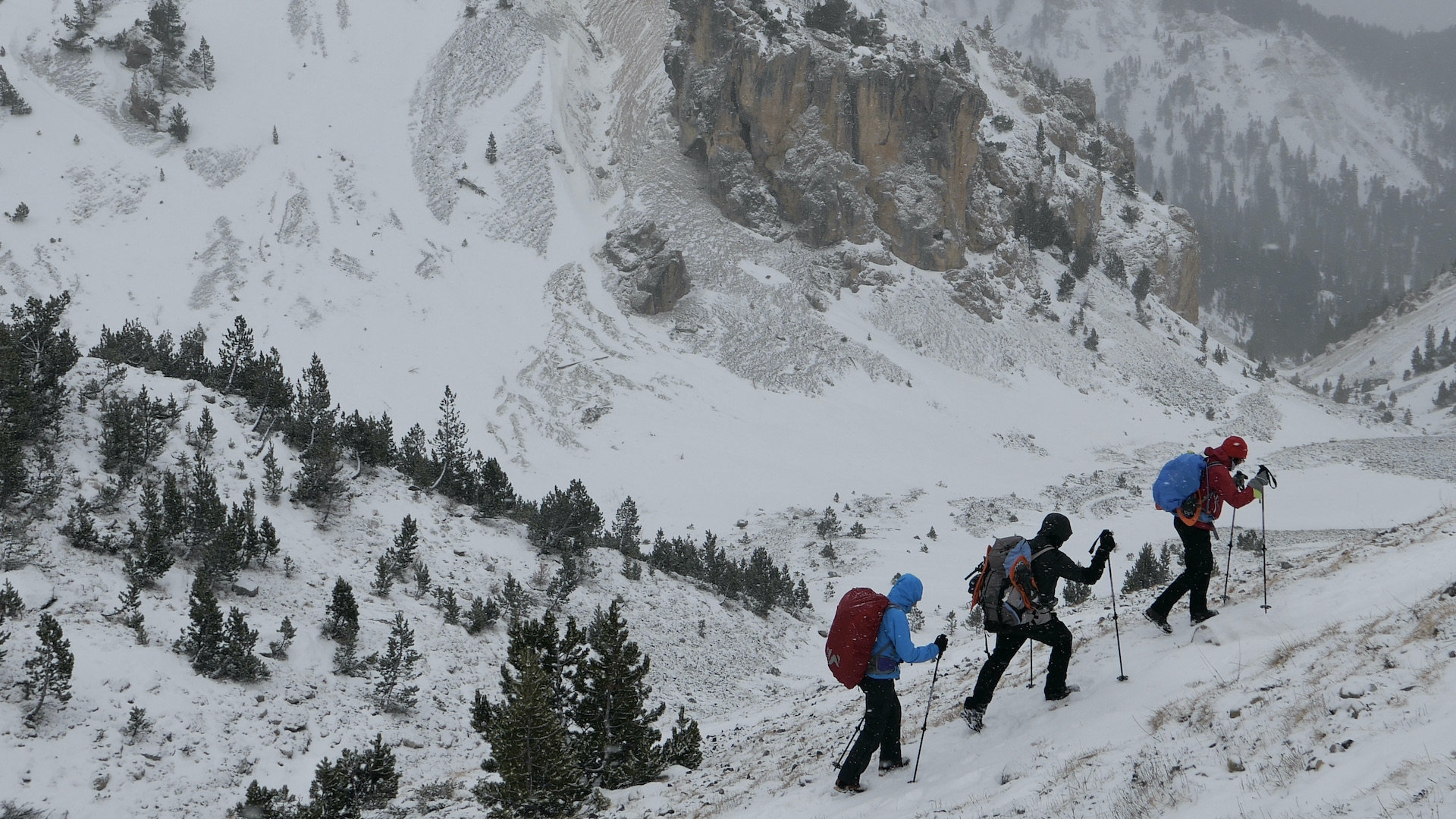 Montée au col de l'Izoard dans le blizzard