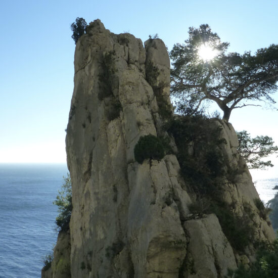 Falaises, pins d'Alep et mer Méditerranée...