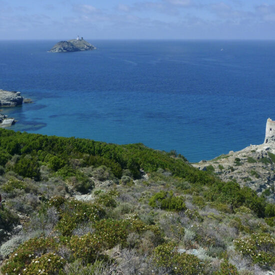 Tour d'Agnellu et île de la Giraglia, sentier des douaniers