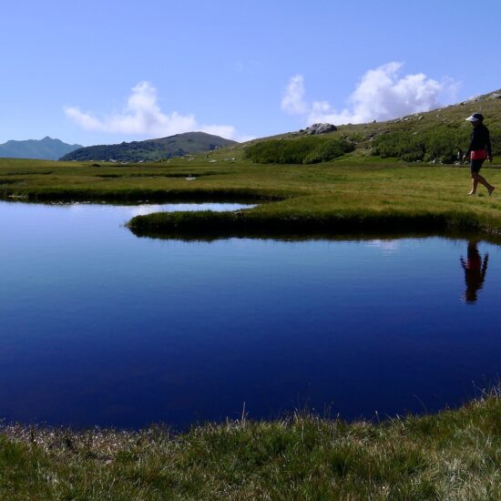 Les Pozzi du Rinosu, merveille de douceur