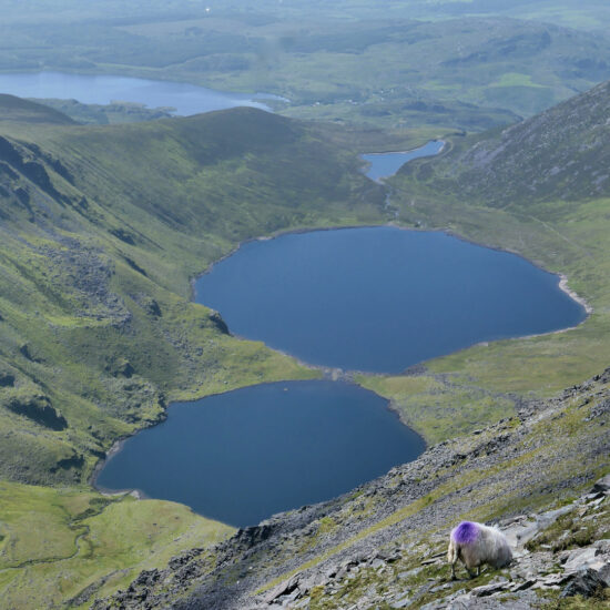 Vue du sommet du Carrauntoohil