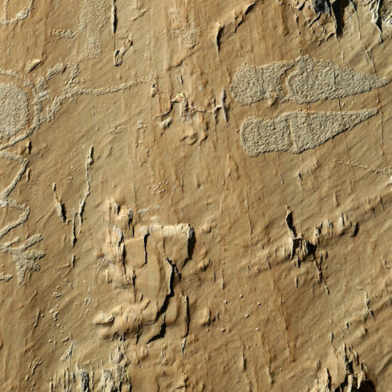 L'Homme aux bras en zig-zag, gravure rupestre de la vallée des Merveilles
