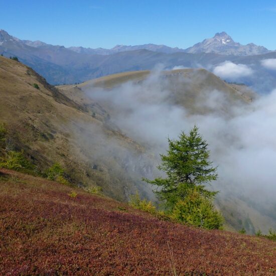 La crête d'Intersile et le Viso au fond