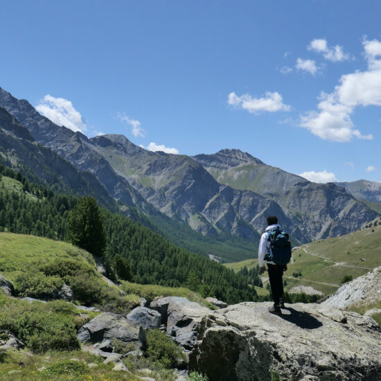 Dans le vallon de l'Aigue Blanche