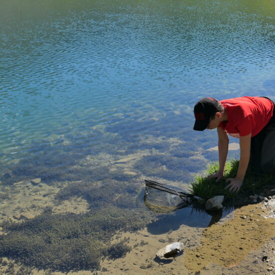 Pêcheur en herbe