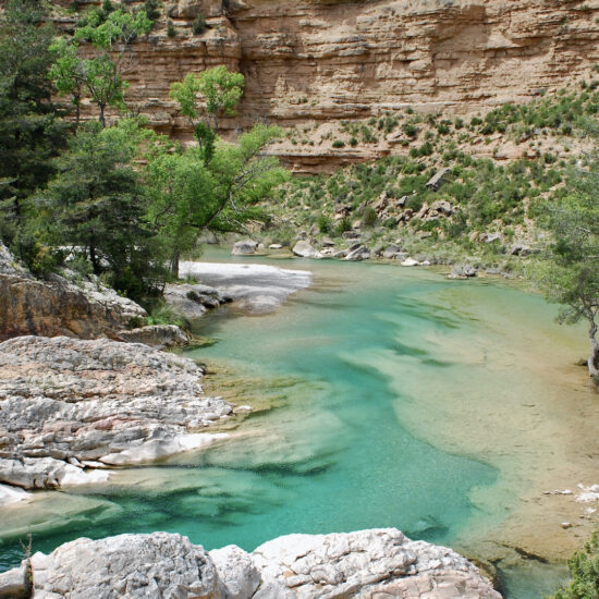 Fuente de Tamara