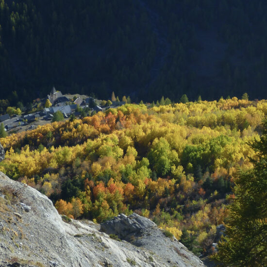 Couleurs d'automne dans le Bachelard, Mercantour
