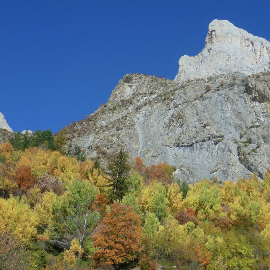 Couleurs d'automne dans le Bachelard, Mercantour