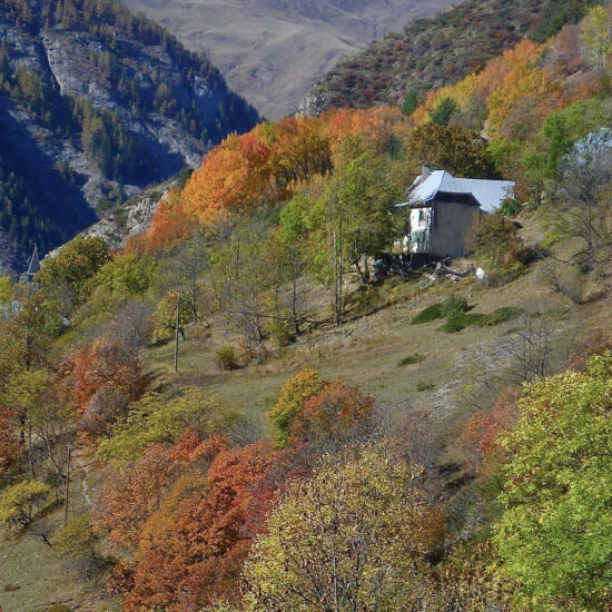 Couleurs d'automne dans le Bachelard, Mercantour