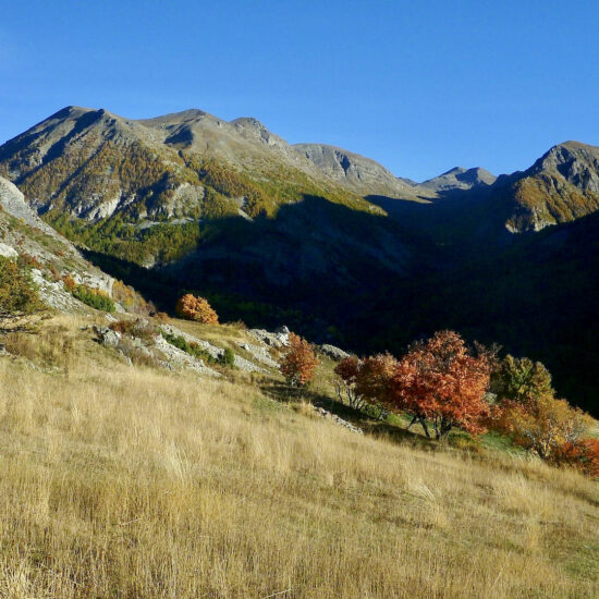 Couleurs d'automne à Bayasse, Mercantour