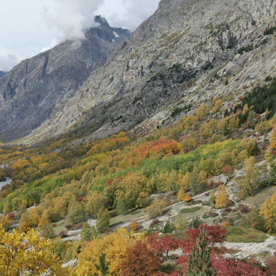 Couleurs d'automne dans le vallon de la Bérarde, Oisans