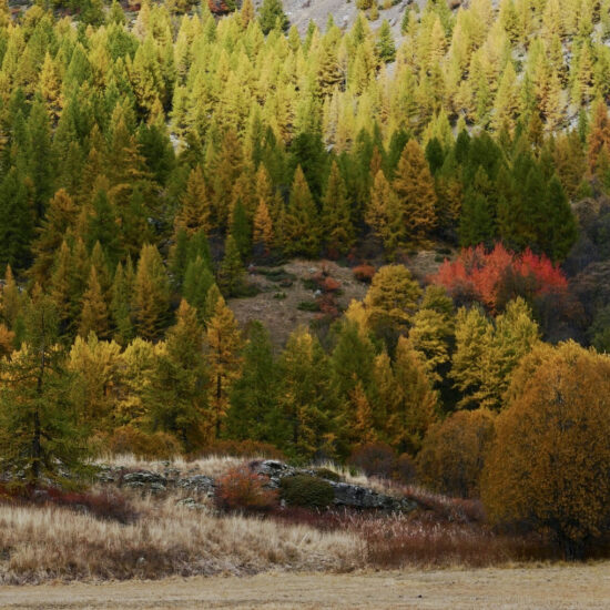 Couleurs d'automne en Clarée