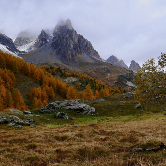 Couleurs d'automne en Clarée
