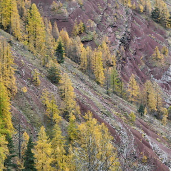 Sous le dôme de Barrot à l'automne