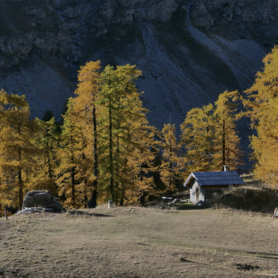 Bergerie de la Cayolle à l'automne, Mercantour