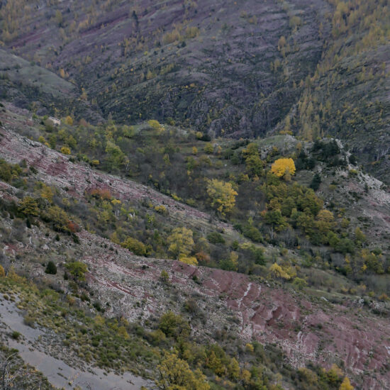 Couleurs d'automne sous le dôme de Barrot