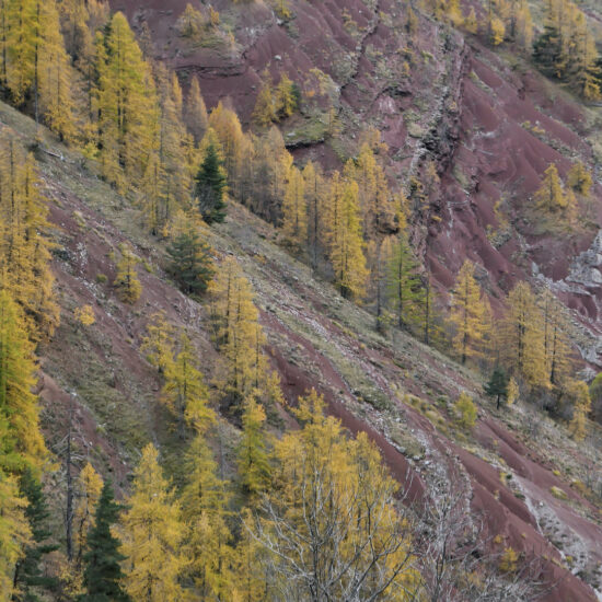 Couleurs d'automne sous le dôme de Barrot