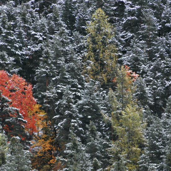 Couleurs d'automne