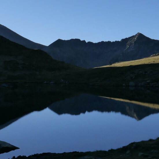 Etang de l'Albeille