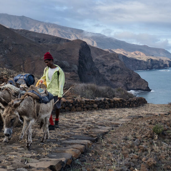 Un homme et ses ânes sur le sentier côtier, Santo Antão