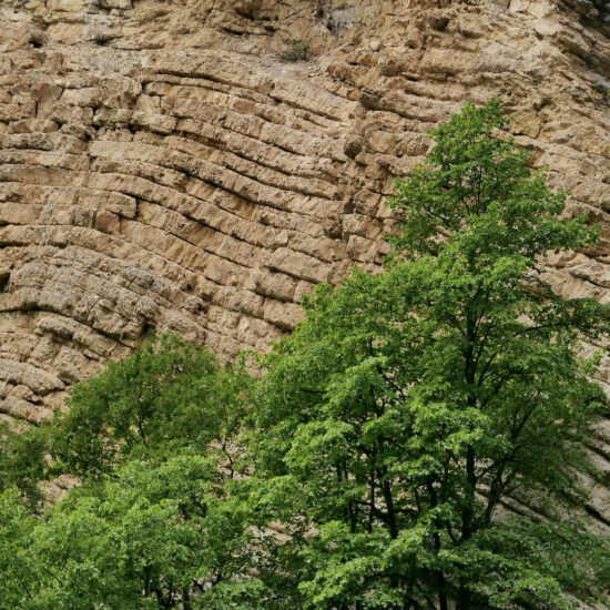 Roches de la clue du Pérouré