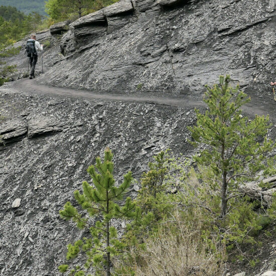 Dans les terres noires de Draix près de Digne