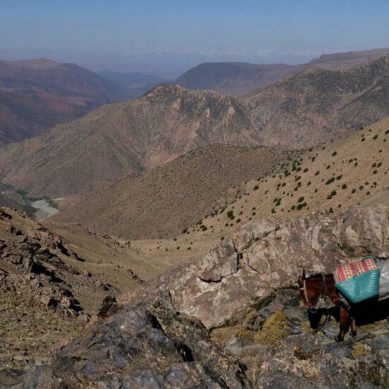 Muletier, haute vallée de l'Ourika