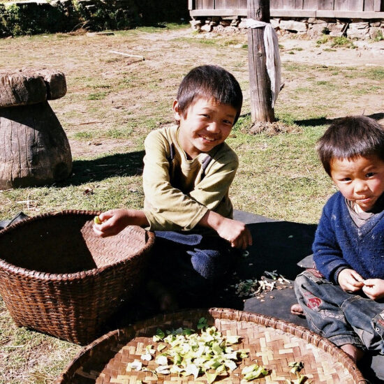 Enfants à l'épluchage