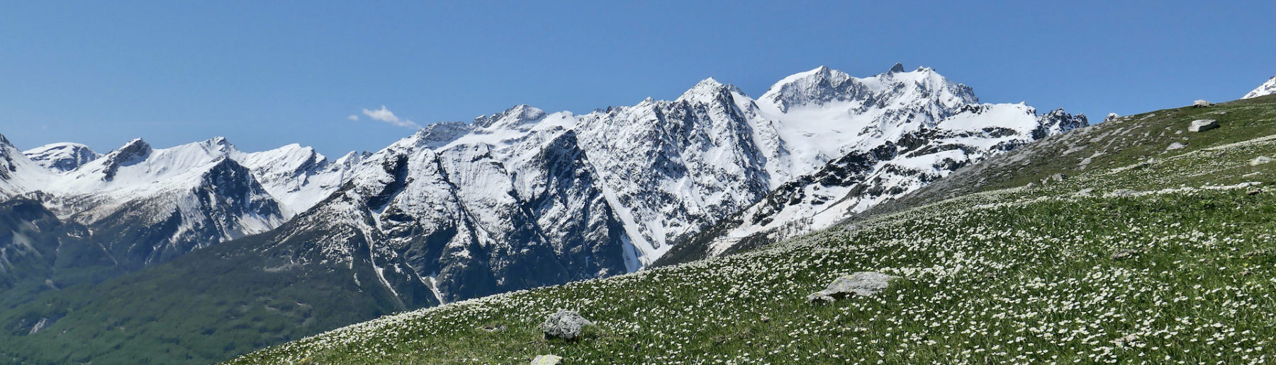Les Ecrins au printemps vus depuis Roche Robert