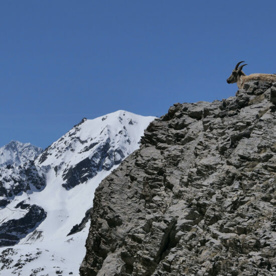 Etagne à Roche Robert