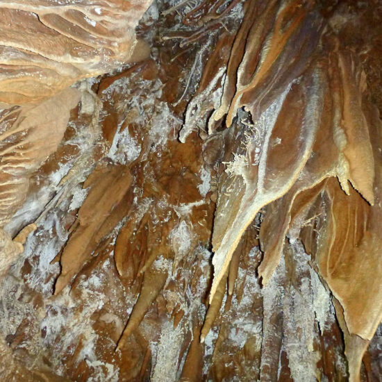 Stalactites et draperies dans une grotte