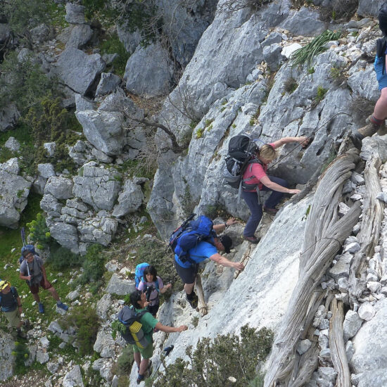 Scala fustes, échelle en troncs de genévrier