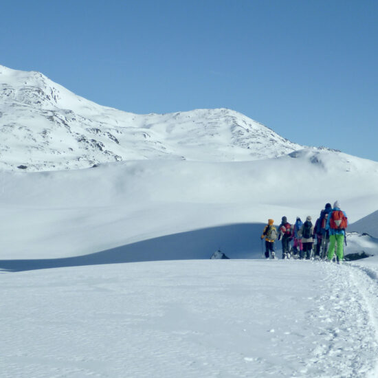 Sous le Châtelard dans le vallon du Chardonnet