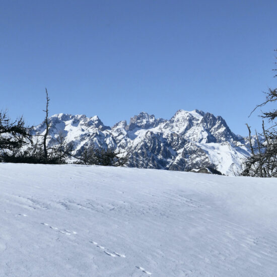Vue sur le Pelvoux depuis le Simous