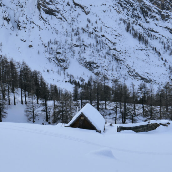 Bergerie sous la neige dans le Vallonnet
