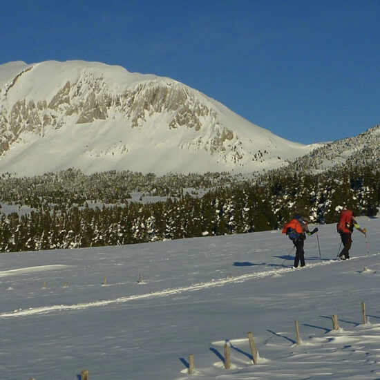 Sous le Grand Veymont