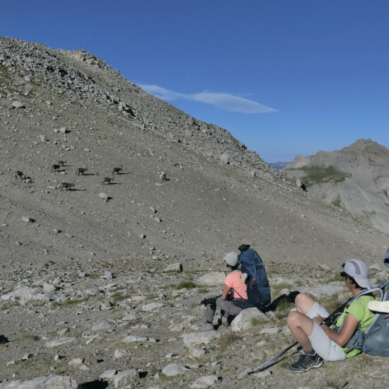 Baisse de Boulière, Mercantour