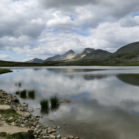Lacs de Lignin