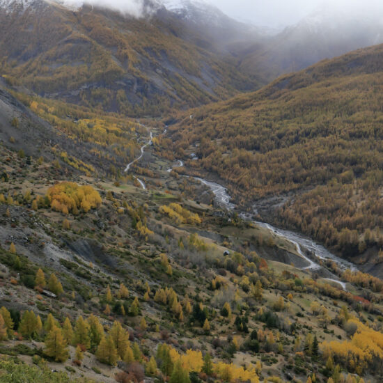 Le flamboyant vallon du Bachelard