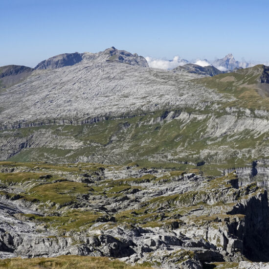 Le désert de Platé