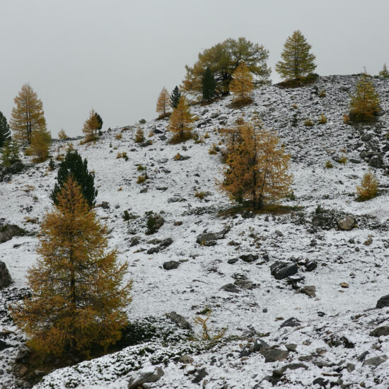Automne - hiver à Ceillac