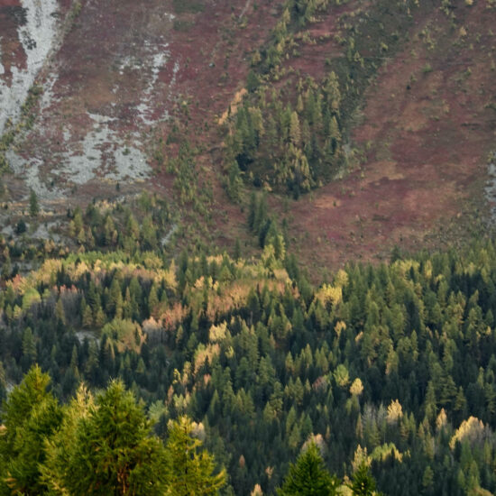 Tapis d'automne sous le col Fromage