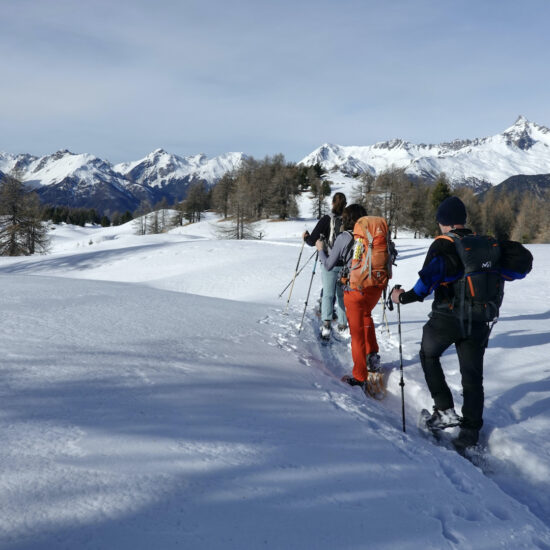 Sur l'alpage enneigé de Fontantie