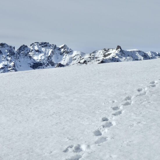 Trace à Fontantie, au fond, la dent de Ratier
