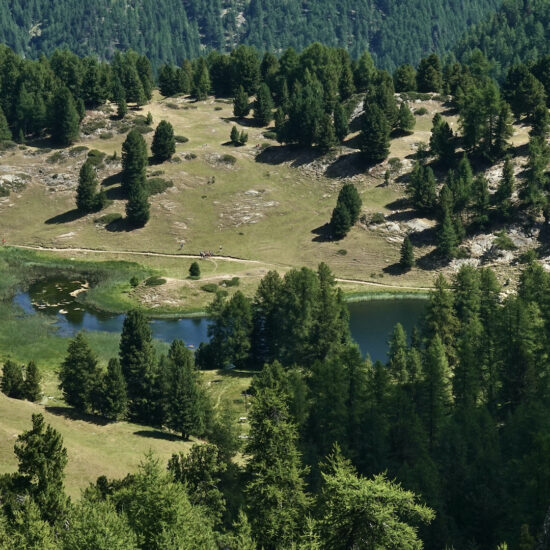 Vue sur le lac Miroir
